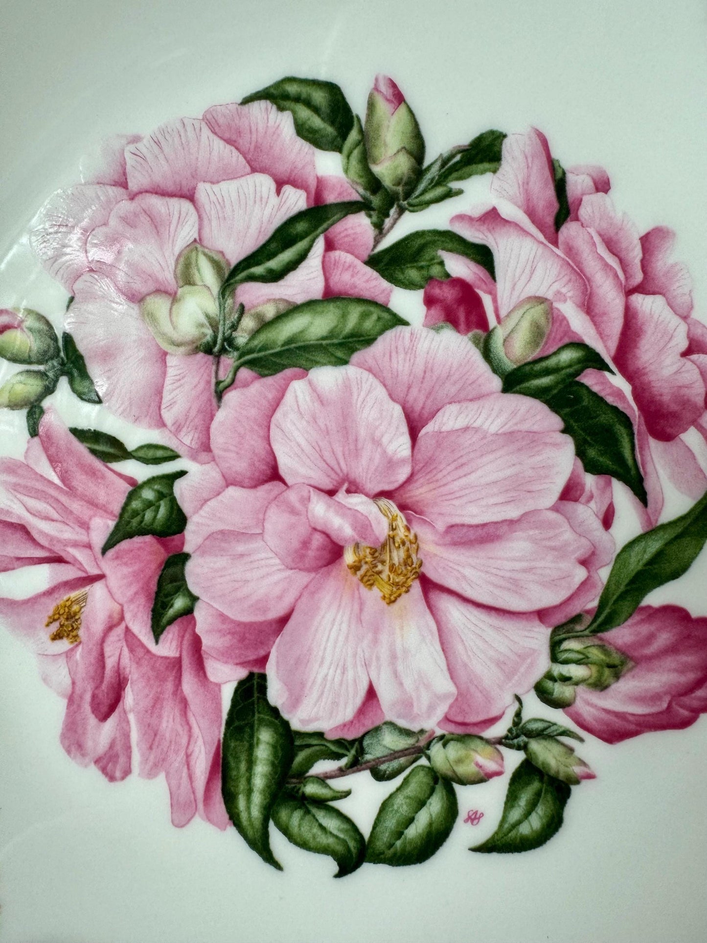 Vintage Royal Albert Vintage 1990's Bone China Camellia Design 22 CM Plate, Queen Mother's Favourite Flowers, Sarah Schofield, Made England