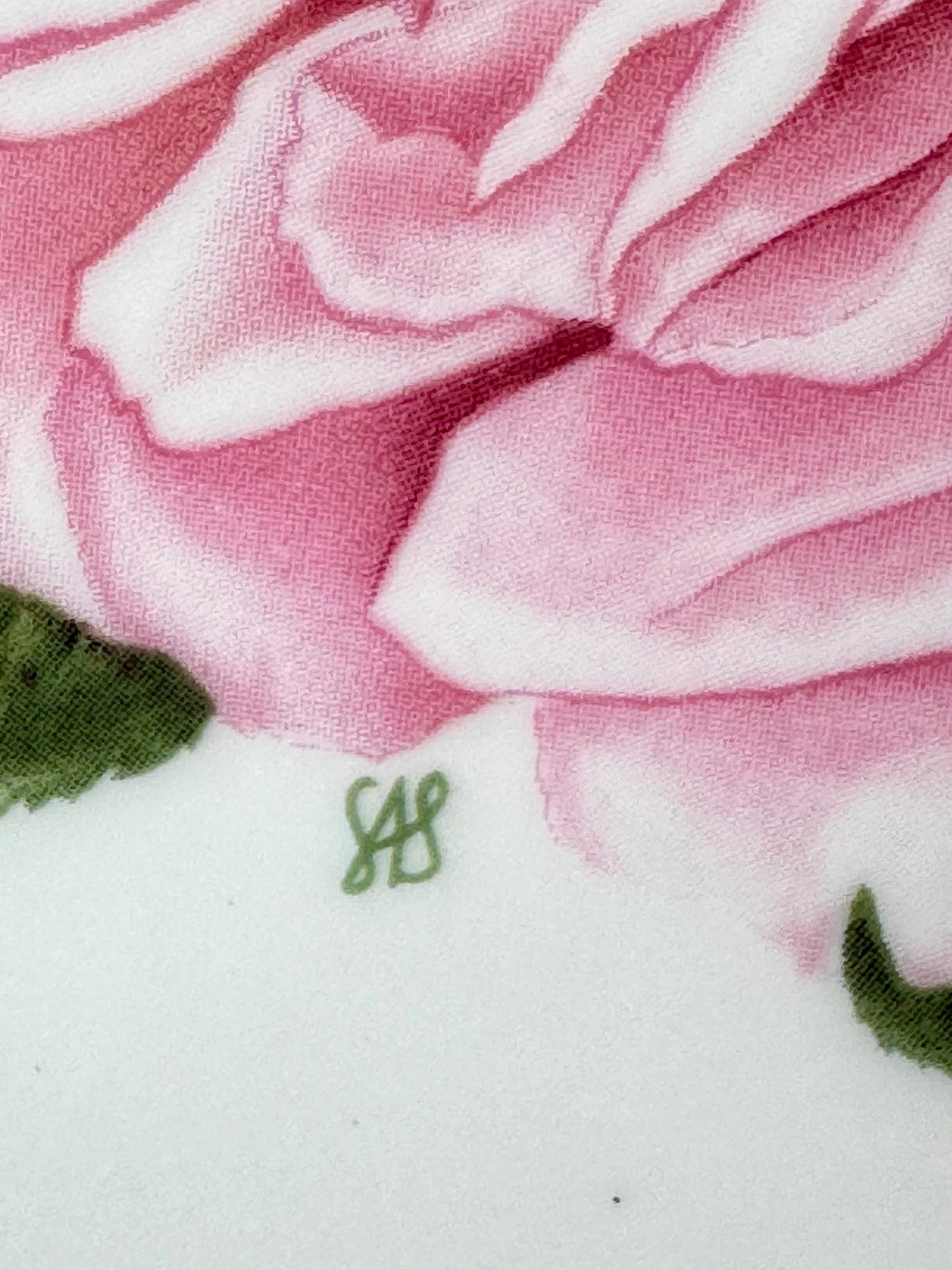 Vintage Royal Albert Vintage 1990's Bone China Albertine Rose Design 22CM Plate, Queen Mother's Favourite Flowers, Sarah Schofield, England