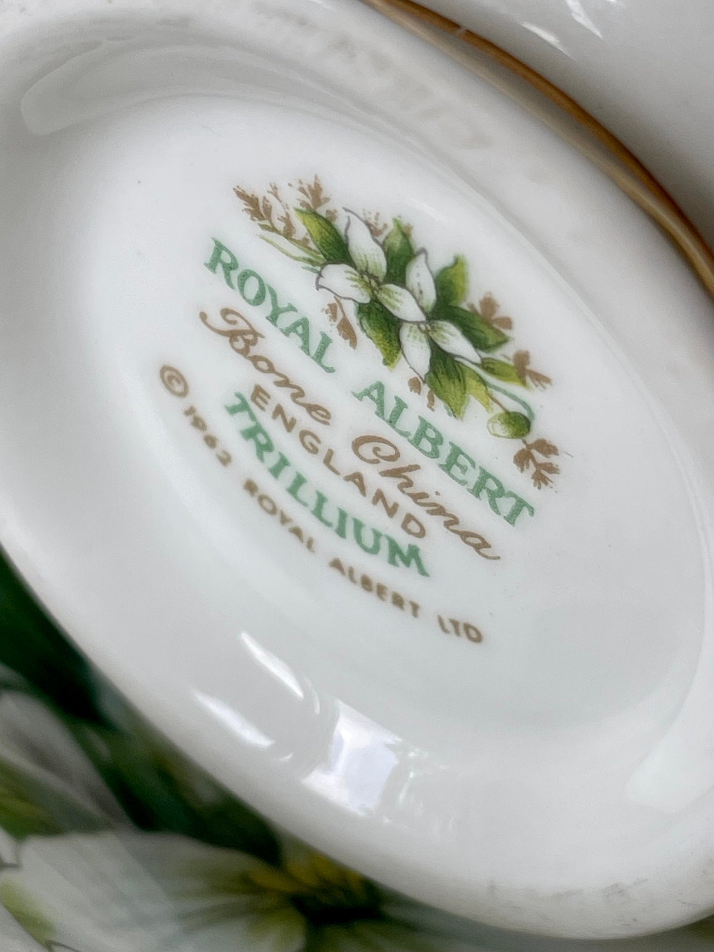 Vintage Royal Albert Trillium Series Male Size TeaCup & Saucer, Fine Bone China, Made In England, HighTea Party, Previously Loved Tea Cup
