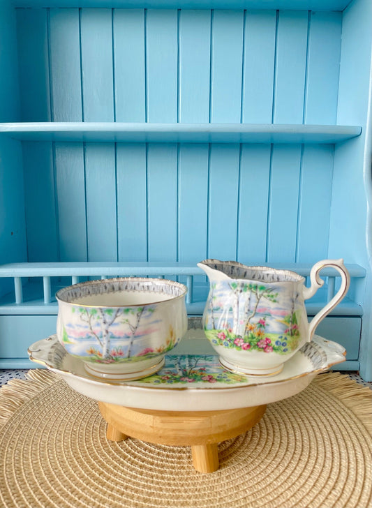 Hard To Find Vintage Royal Albert 'Silver Birch' Large Open Sugar Bowl & Large Creamer, Previously Loved, Lovely Silver Birch Decor, England