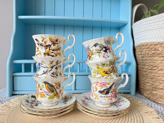 Woodland Series Set of 6 Vintage Royal Albert Coffee Cups & Saucers, Bone China, Perfect Gift Bird Lovers, HummingBird, Robin Decor, England