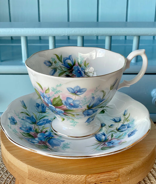 Vintage Richmond "Pretty Blue Floral" TeaCup & Saucer