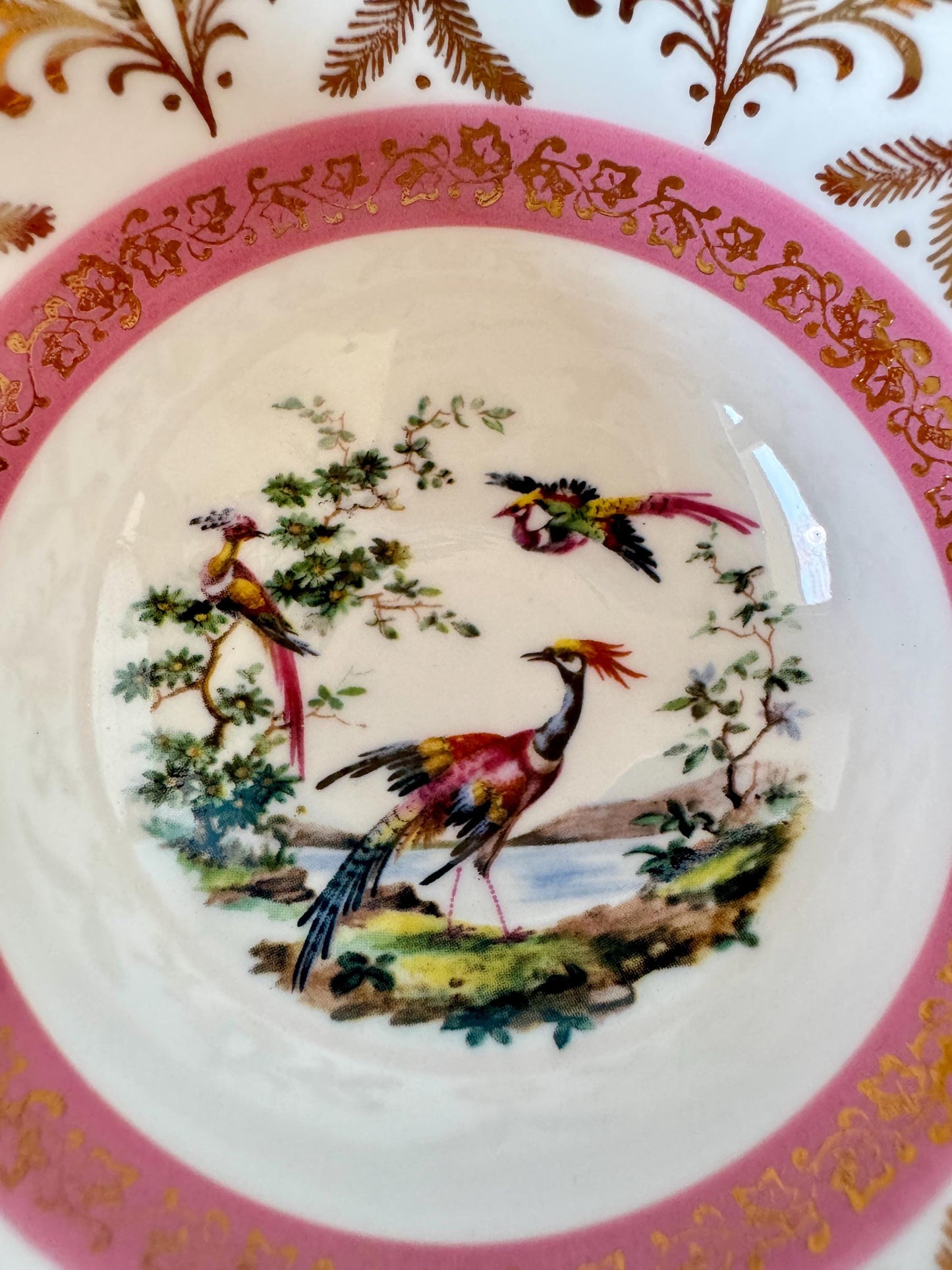 Vintage Royal Grafton 'Pink Bird Of Paradise' Wide Mouth Tea
