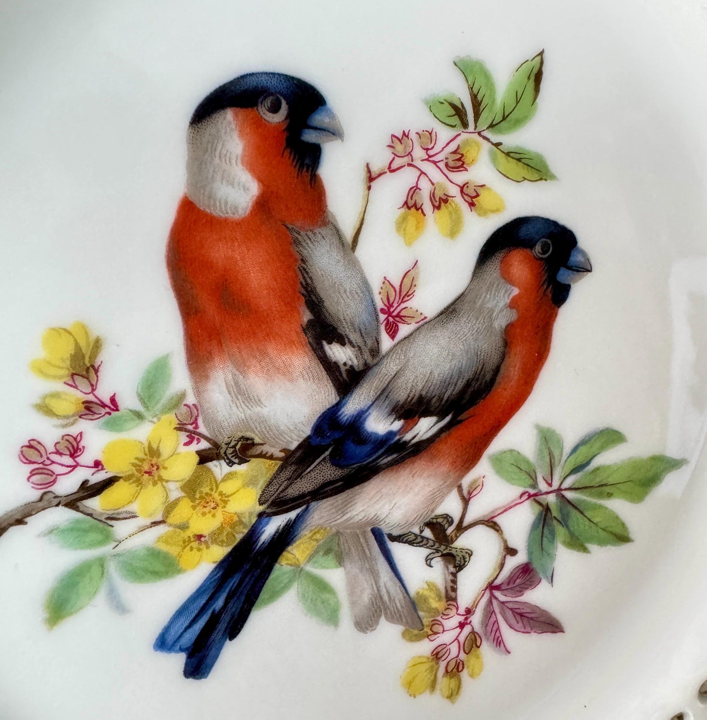 Vintage Schumann Arzberg Bullfinch Plate