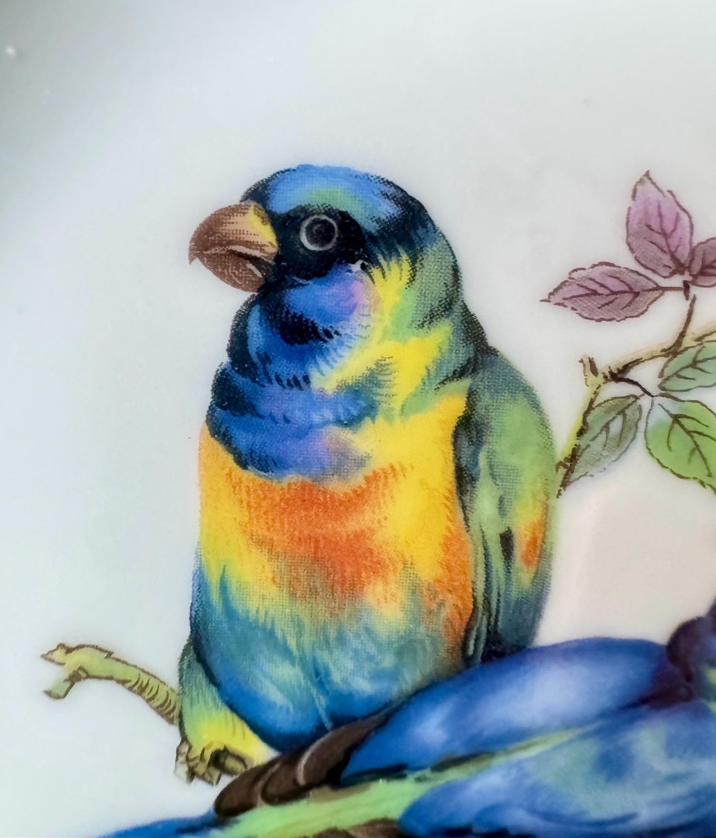 Vintage Schumann Arzberg Parrot /Macaw Bird Plate