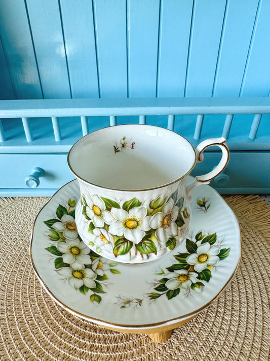 Vintage Queens Rosina Violet Floral Bone Tea Cup