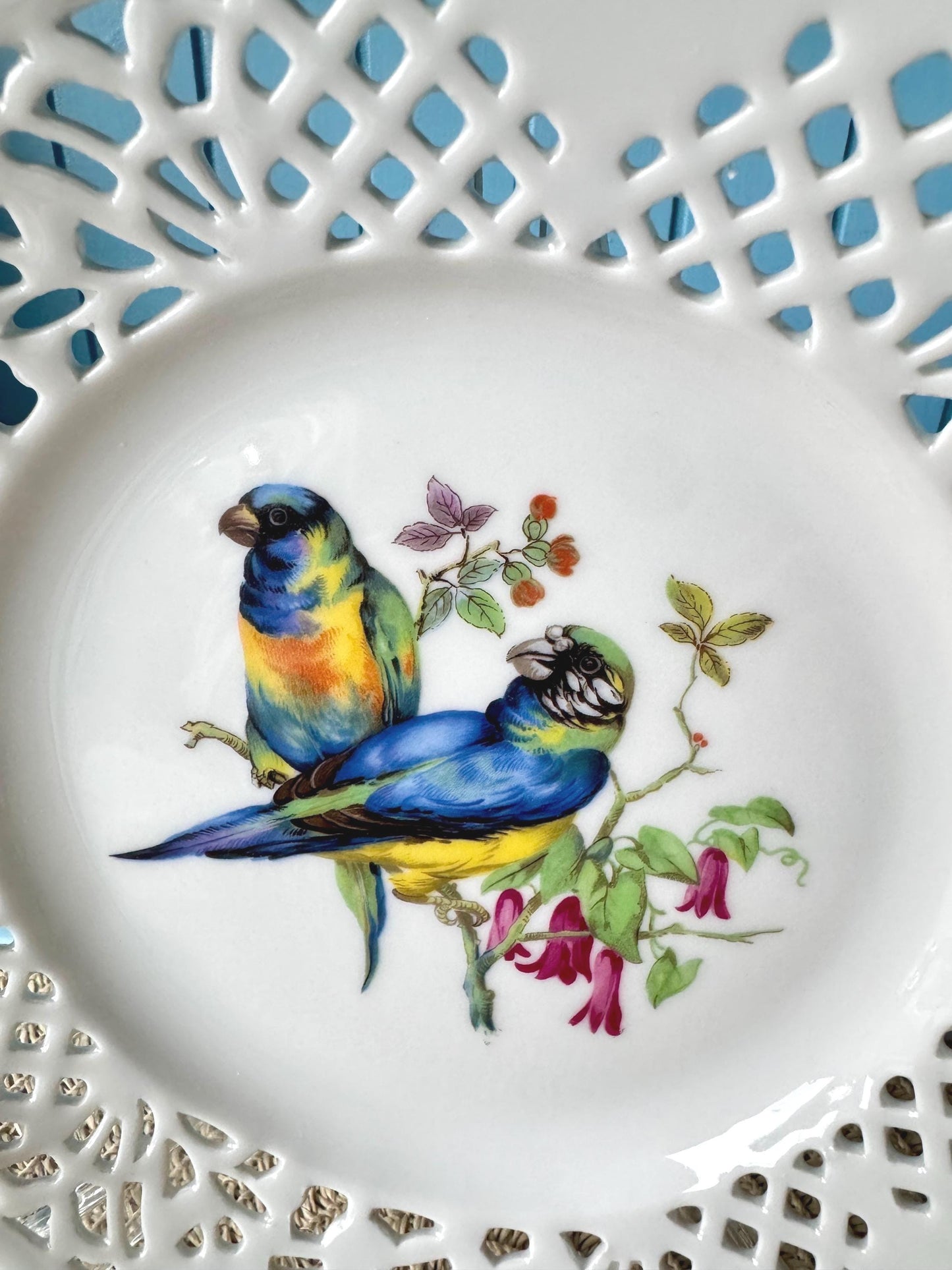 Vintage Schumann Arzberg Parrot /Macaw Bird Plate