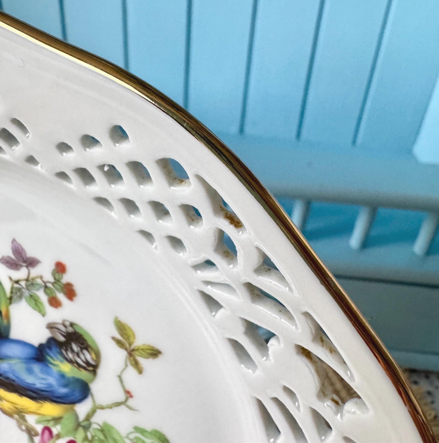 Vintage Schumann Arzberg Parrot /Macaw Bird Plate