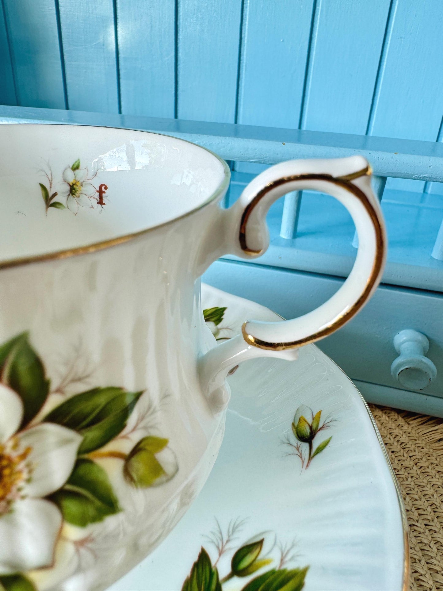 Vintage Queens Rosina Violet Floral Bone Tea Cup