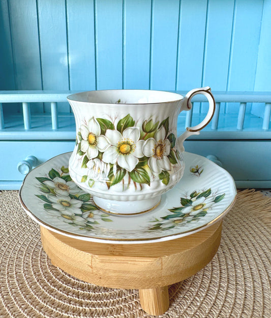 Vintage Queens Rosina Violet Floral Bone Tea Cup